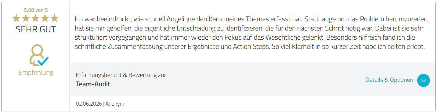 Bewertung Angelique Dujic Team-Audit