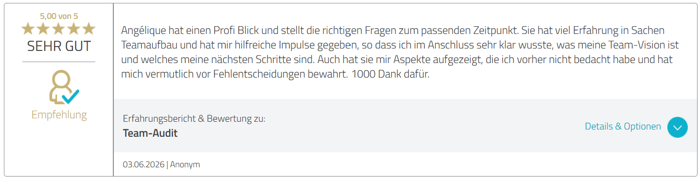 Bewertung Angelique Dujic Team-Audit